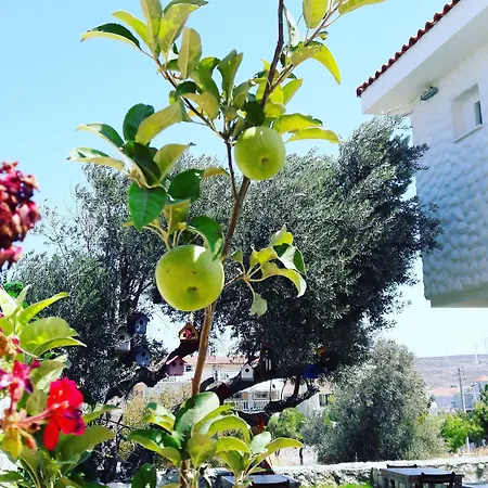 Hotell Ruezgar Guelue