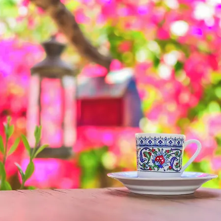 Ruezgar Guelue 2* Alacati